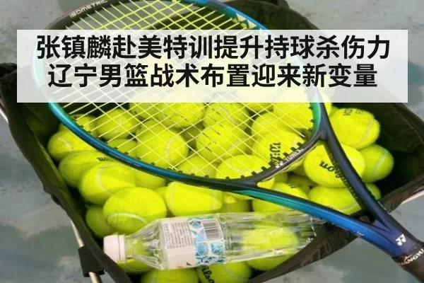 张镇麟赴美特训提升持球杀伤力 辽宁男篮战术布置迎来新变量